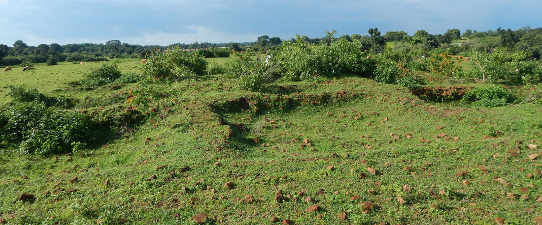 Asura-Site-Saridkhel