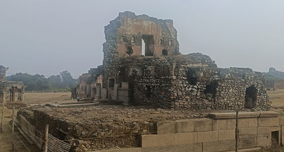 Blog